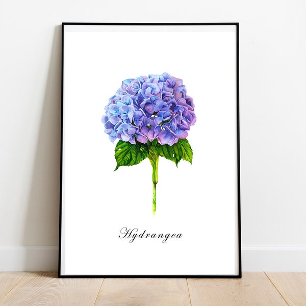 Blue Hydrangea Akwarela Nadruk Kwiaty Aranżacja wnętrza Dekoracja ścienna Natura Przyroda Prezent Wall Art A4/A5