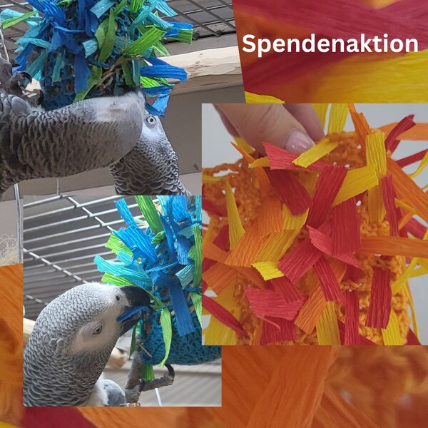 10 Bunte Rattan-Bälle Als Spielzeug Für Papageien & Vögel – Fördert Spieltrieb & Intelligenz