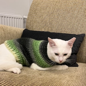Crochet Cat Sweater Pattern | DIY Pet Jumper (english) - Etsy