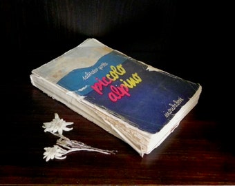 CHILDREN'S BOOK - Little Alpine Soldier by Salvator Gotta - Mondadori, 1934