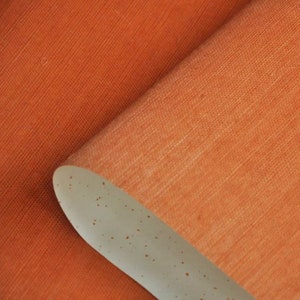Carta da parati in erba di sisal intrecciata arancione/rivestimento murale in erba arancione/rivestimento murale naturale/carta da parati arancione/moderno di metà secolo