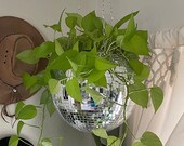 Disco Planter, Hanging Disco Planter, Hanging Wall Planter, Mirror Ball Planter, Disco Light Planter, Hanging Plant Stand, Housewarming Gift