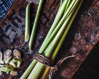 3 Live Lemongrass plant, bare root lemongrass, fresh lemongrass, Cymbopogon, lemongrass seeding. live lemongrass plant