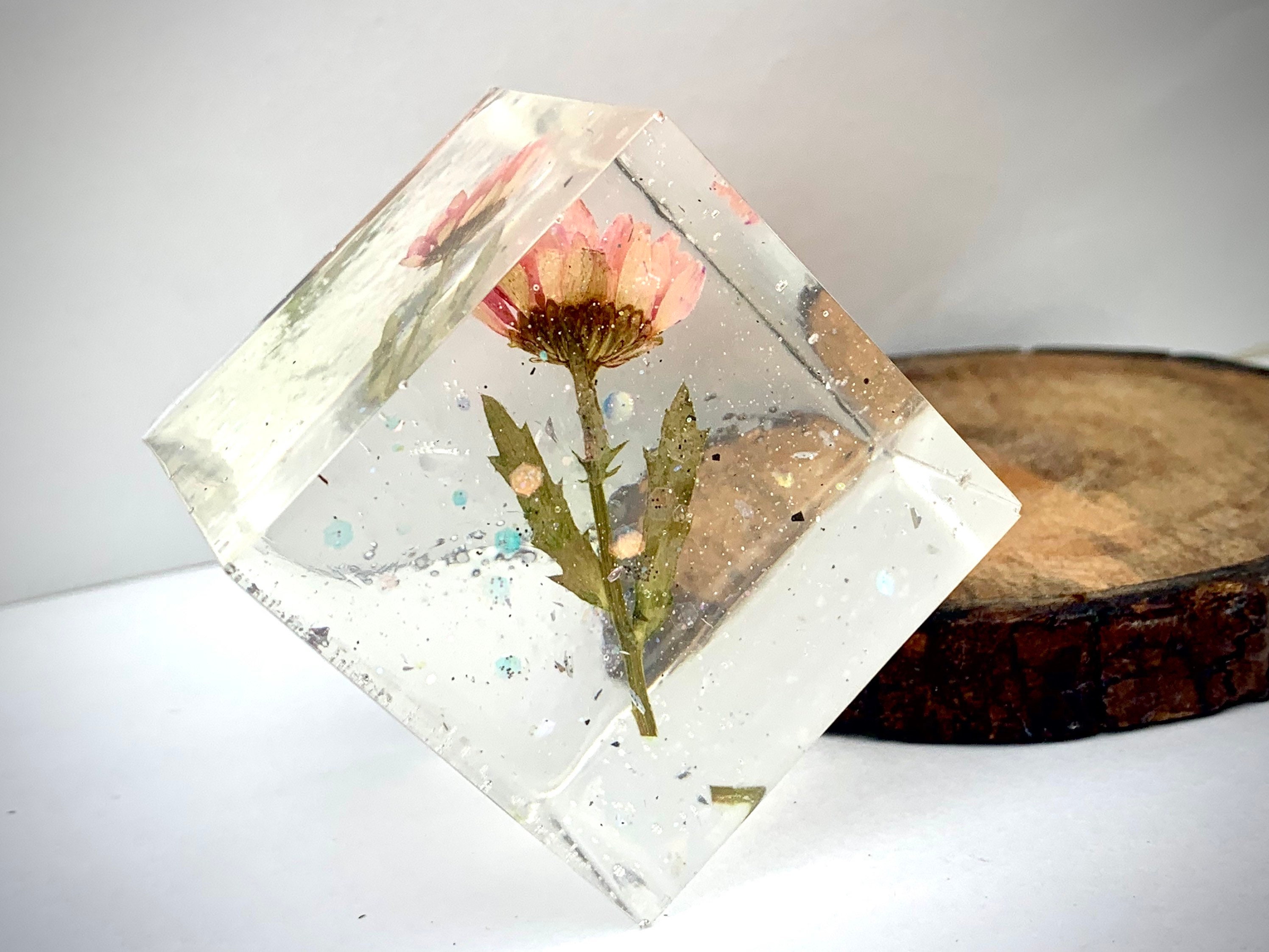 Glasshouse Collection- Preserved Flower And Resin Art