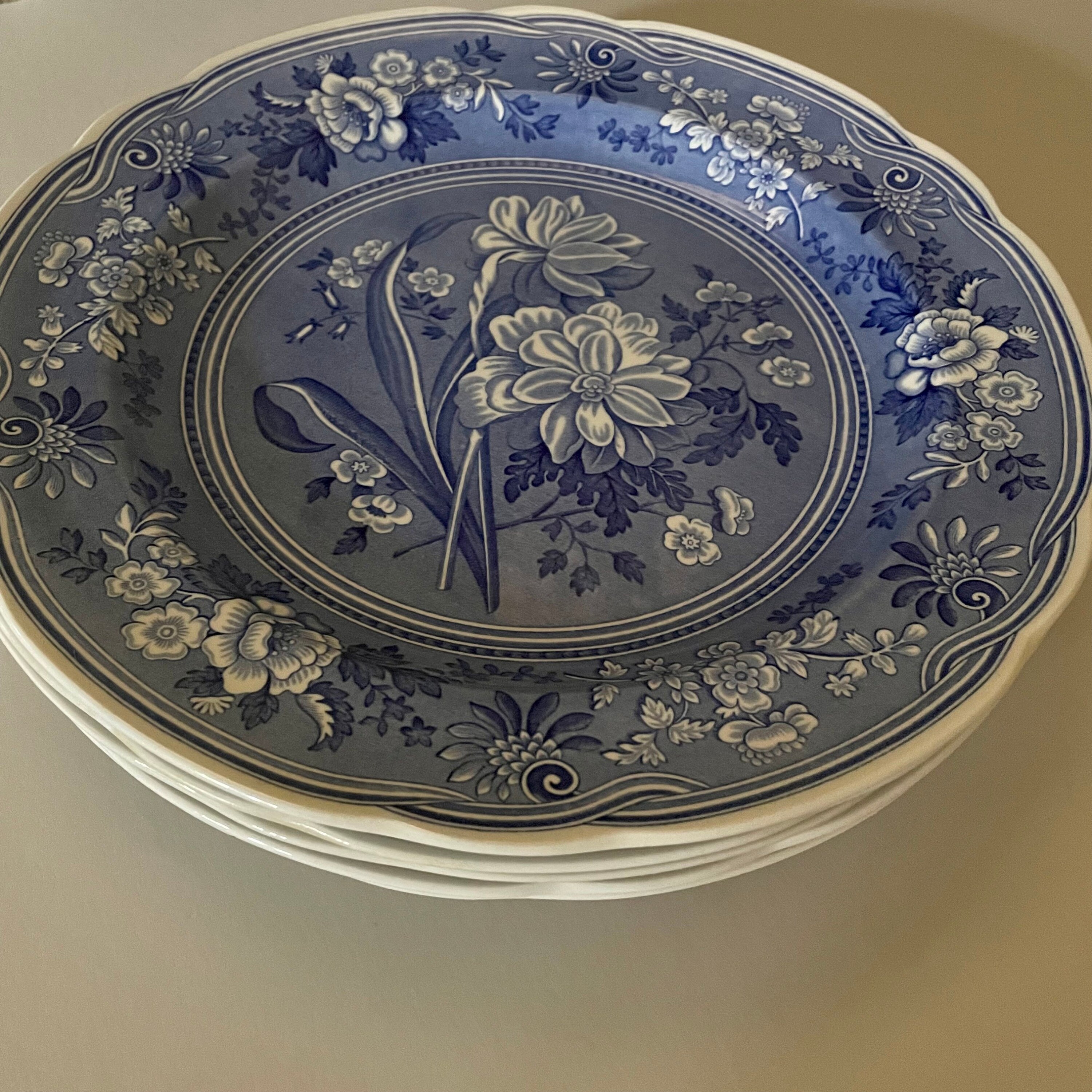 Spode 'botanical' Plate From the Blue Room Collection | Etsy