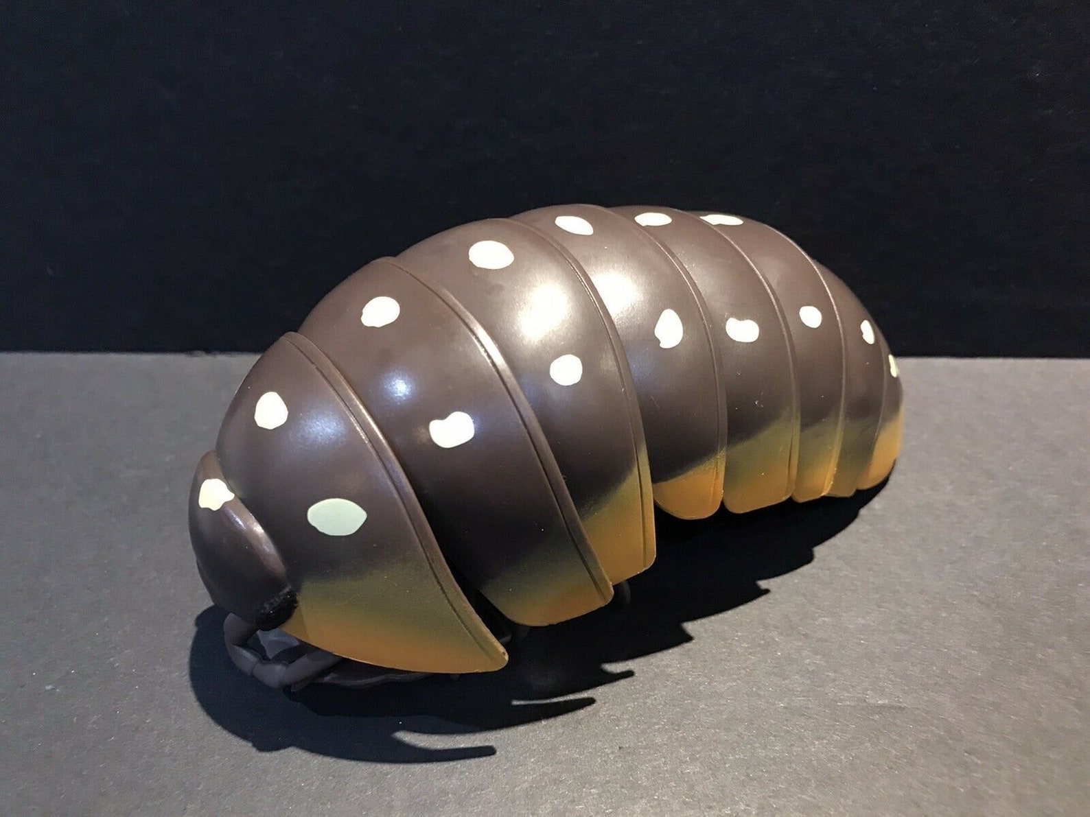 Potato Bug Or Roly Poly