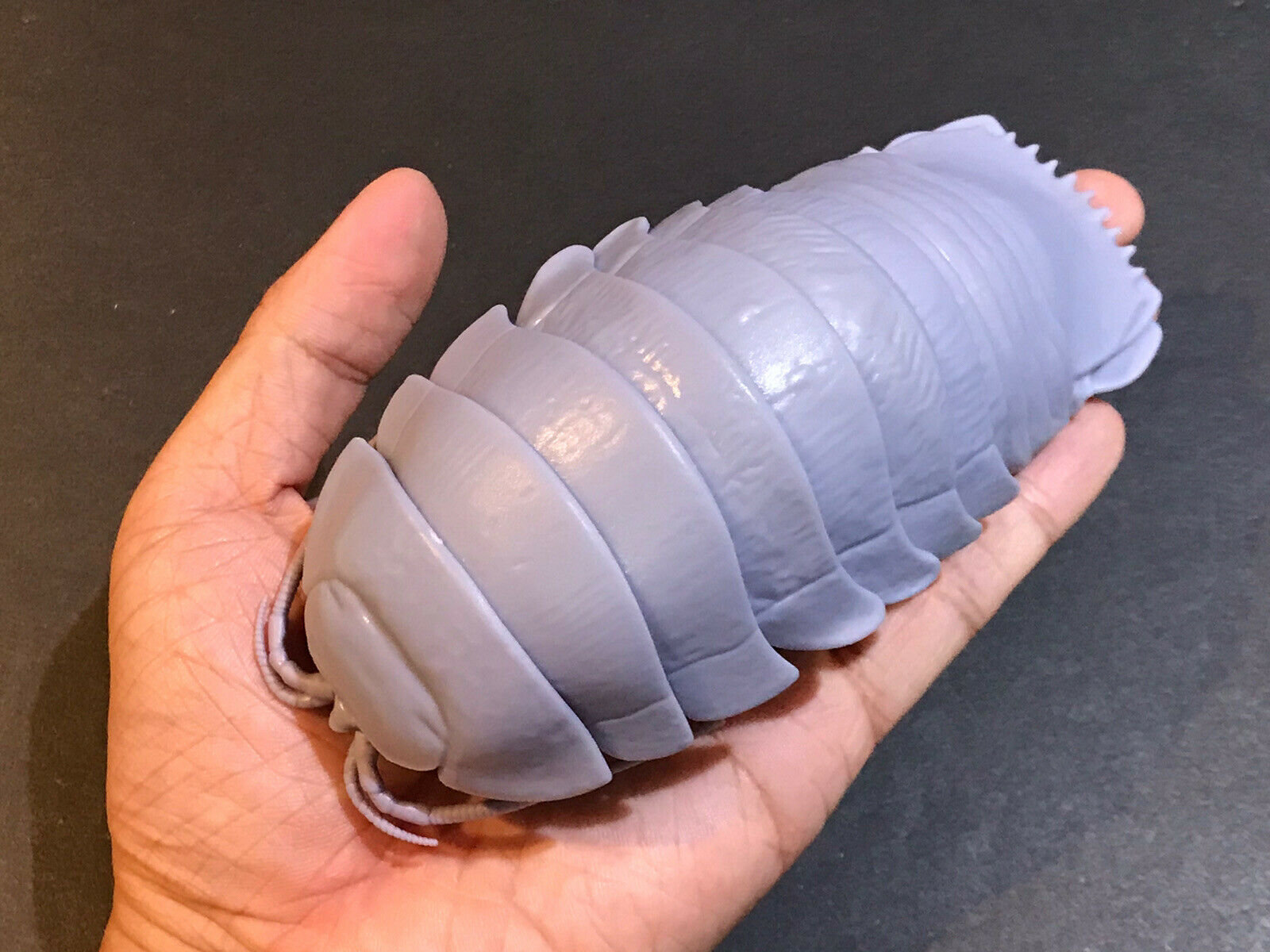 Giant Pill Bug