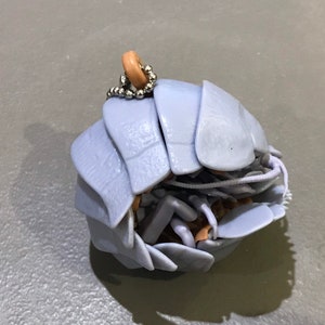 Plastic Pill Bug Roly Poly Insect Potato Bug ISOPOD KEYCHAIN | Etsy