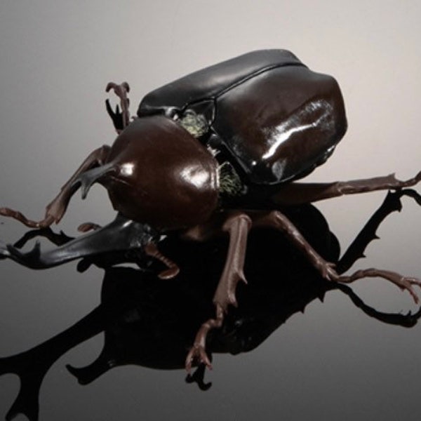 Brown Japanese Rhinoceros Beetle Realistic Figure 100mm