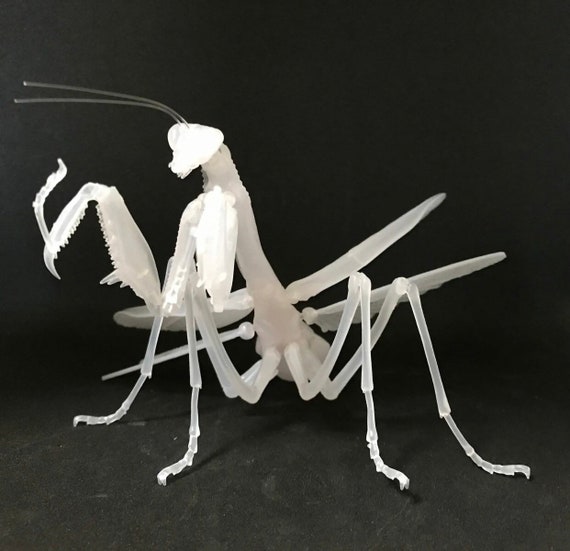 Praying Mantis Clear Albino White Insect PVC Figure W/ Movable Etsy