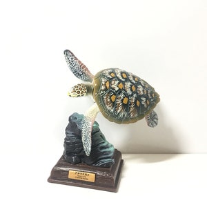 Peut inclure: Une figurine de tortue de mer verte et brune avec des marques jaunes sur sa carapace. La tortue est perchée sur une petite formation rocheuse et fait partie d'une base d'affichage avec une plate-forme en bois brun et une étiquette qui indique "アオウミガメ  Green Sea Turtle Chelonia mydas".