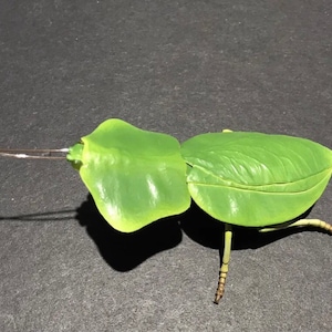 Hooded Green Praying Mantis PVC Figure