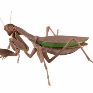 Praying Mantis Brown PVC Figure w/ Movable Joints Normal Abdomen Version