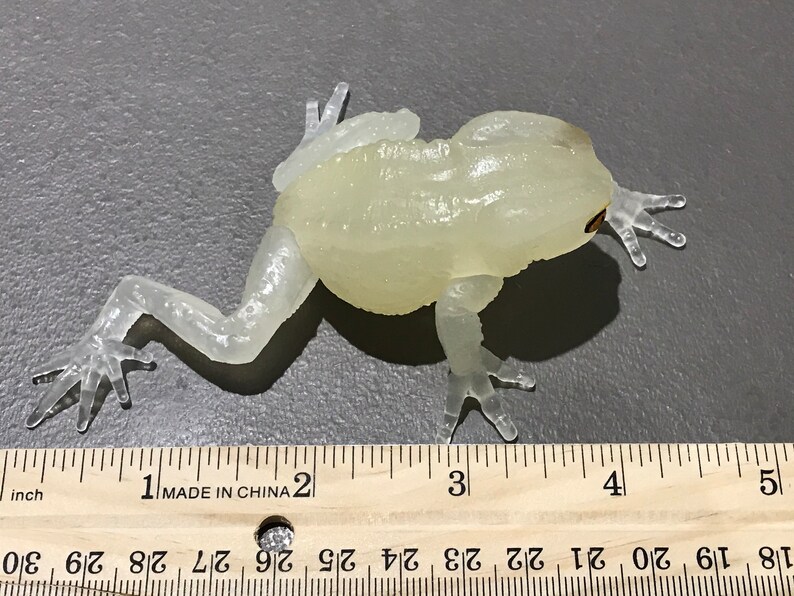 Realistic Waxy Monkey Leaf Tree Frog Plastic Glow in Dark Clear Color ...