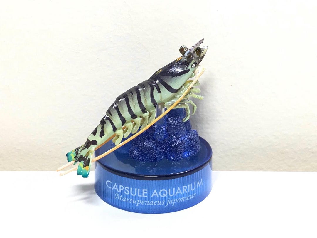 Japan Aquarium Exclusive Out of Print Tiger Prawn Shrimp Figure - Etsy