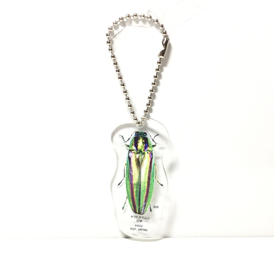 Bandai Insects World Jewel Yamato Ball Beetle Acrylic Keychain Key ...