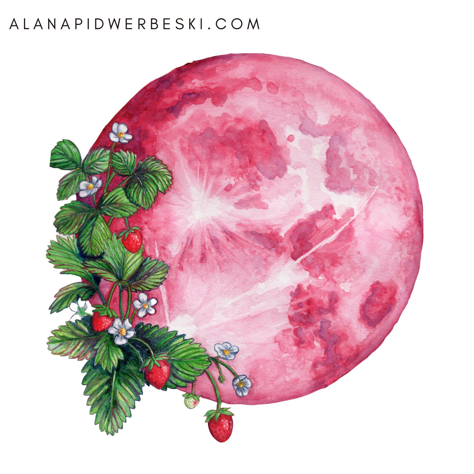 Pink Strawberry Moon Premium Watercolor Art Print Full Moon Etsy Canada