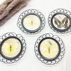 4 Piece Vintage Round Wooden Pressed Real Butterfly Coasters Set, Taxidermy, Mid Century Barware, Bar Cart Decor, Nature Lover, Boho Home