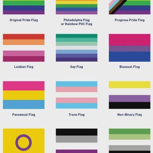 May include: A collection of LGBTQ+ pride flags, including the original Pride flag, Philadelphia flag, Progress Pride flag, Lesbian flag, Gay flag, Bisexual flag, Pansexual flag, Trans flag, Non-Binary flag, Intersex flag, Asexual flag, and Aromantic flag.