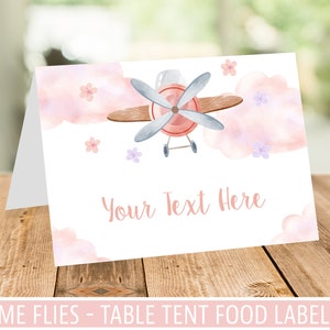 Flugzeug Mädchen Tisch Etikett, wie die Zeit vergeht Party Essen Etikett, rosa Flugzeug, bearbeitbares Tischzelt, sofortiger Download #GPL1