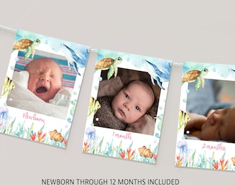 Ocean Animals First Birthday Photo Banner: Party Decor (Editable Printable Download)