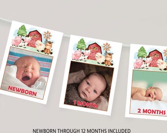 Farm Animals 1st Birthday Photo Banner, Barnyard Theme (Editable Digital Download) #015