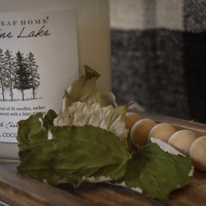 Homegrown raspberry leaves || forage