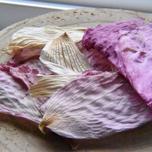 Dried hibiscus petals || forage