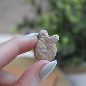 Toasties biscuits || rabbit treats