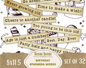 Birthday Party Printable Words, Cute Puns, Junk Journal Pet Ephemera, Collage Sheet, Mixed Media, Funny Words Captions, Stickers, Digital