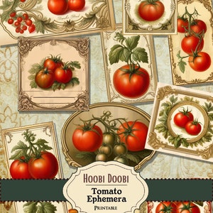 Puede incluir: Una colección de tarjetas rectangulares y ovaladas con ilustraciones de tomates rojos en ramas, enmarcadas por bordes dorados ornamentados. Una etiqueta central muestra el texto Hoobi Doobi Tomato Ephemera Printable en negro sobre un fondo crema.