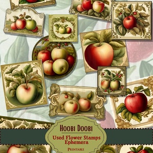 Puede incluir: Una colección de ilustraciones de manzanas de estilo vintage en tarjetas decorativas. Las manzanas se representan en varias etapas de madurez, con tonos rojos y verdes. Las tarjetas tienen marcos ornamentados y están dispuestas sobre un fondo estampado. El texto en la imagen dice "HOOBI DOOBI Used Flower Stamps Ephemera PRINTABLE."