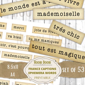Französische Sätze und Sprüche, druckbares Blatt, Junk Journal France Ephemera, Mixed Media, niedliche Bildunterschriften, Aufkleber, digitaler Download, Ästhetik
