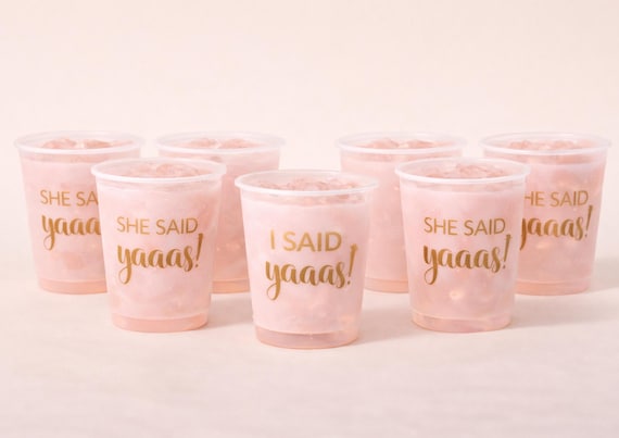 Hen party plastic cup Bridal Shower Gift Bachelorette cup Team Bride and bride to be plastic cup Girls night out bride to be cup