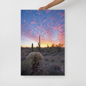 Kaktus Sonnenuntergang/Fotografie Wandkunst/Arizona Wüste/Kaktus und Kakteen/Saguaro und Cholla/Sonoran Wüste/Leinwand