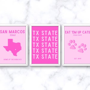Preppy Texas State Wall Art, Pink Texas State Wall Art, Pink Texas Dorm Decor, College Wall Art, Digital Files, PDF