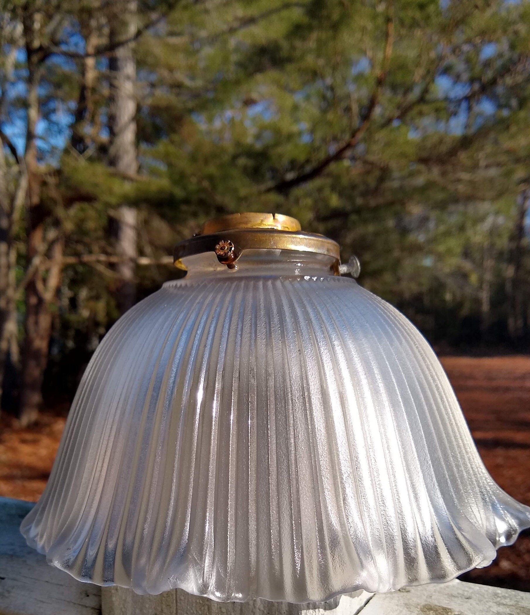 Fluted Glass Shade Etsy New Zealand