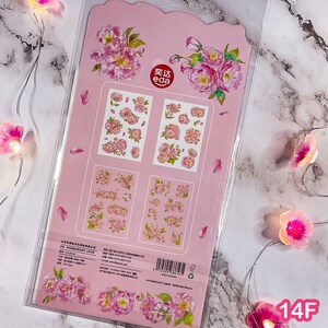 Pu&ograve; includere: Un foglio di adesivi rosa con disegni floreali. Il foglio include adesivi di peonie rosa di varie dimensioni, con foglie verdi e alcuni petali sciolti. Il marchio "eda" &egrave; visibile. L'angolo in basso a destra ha il testo "14F".