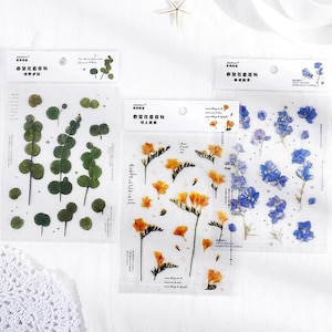 Autocollants transparents Floral Kawaii Planner, Fleurs colorées, Marguerites, Fougères, Feuilles, Autocollants Kawaii, Autocollants de feuille de journal, Fleur stationnaire B4