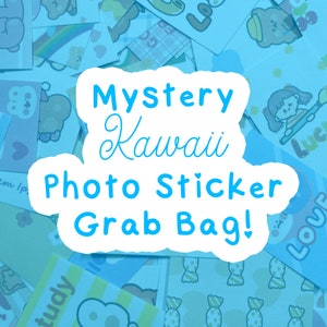 Random Kawaii Photo Sticker Grab Bag, Mystery Photo Sticker Grab Bag, Sticker Pack, Stickers, Clear & Paper Stickers, Kawaii Stickers B6