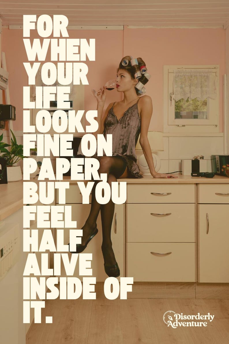 May include: A person with hair rollers wearing a grey satin slip dress and black stockings, holding a wine glass. The text reads: FOR WHEN YOUR LIFE LOOKS FINE ON PAPER, BUT YOU FEEL HALF ALIVE INSIDE OF IT. The logo reads: Disorderly Adventure.