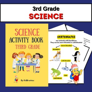 Third Grade Science Printable activity book workbook worksheets motion energy matter space animals 3rd grade unit study science curriculum
