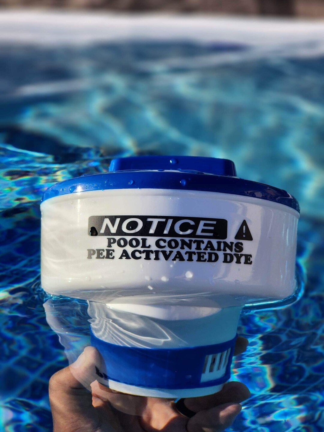 Pool Chlorine Floater Vinyl Decal Etsy