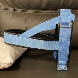 Straight Front Dog Harness - Custom Made with Vinyl and Webbing