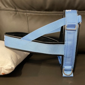 Straight Front Dog Harness - Custom Made with Vinyl and Webbing