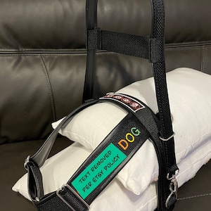 Pride Y Front Dog Harness - Custom Made with Vinyl and Webbing