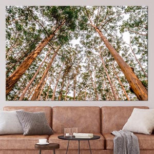 Forest large canvas wall art prints Woodland print Pine tree branch wall art Nature decor Forest print Boho rustic home decor