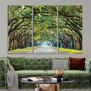 Savannah Oak Tree Alley Canvas Art: Georgia Nature Print