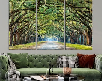 May include: A triptych canvas print depicting a tree-lined road with a canopy of green leaves and Spanish moss. The artwork features a pathway leading into the distance, with sunlight filtering through the trees. The print is displayed above a green sofa.