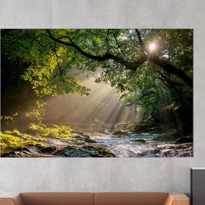 Forest River Canvas Print: Sunlight Through Trees, Nature Art